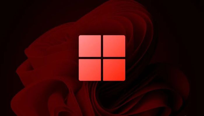 Windows 11 optimization