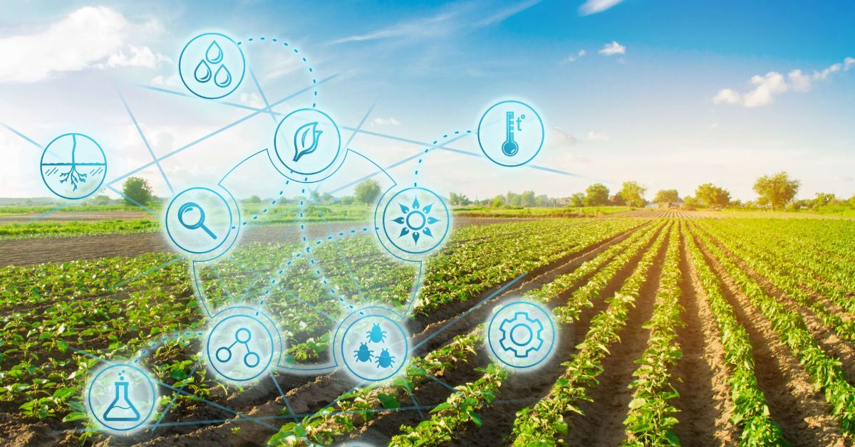 Smart Villages: How Technology Is Transforming Rural Life You Didn’t Know About