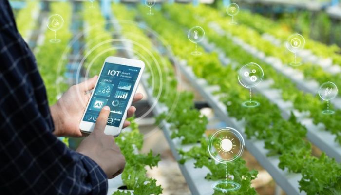 Rural IoT innovation