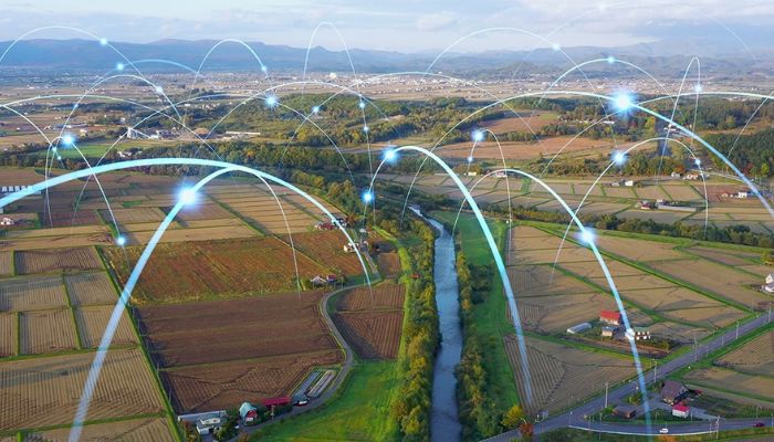 Rural IoT innovation