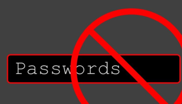 Passwordless Authentication Security

